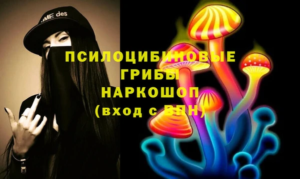 MDMA Каменногорск