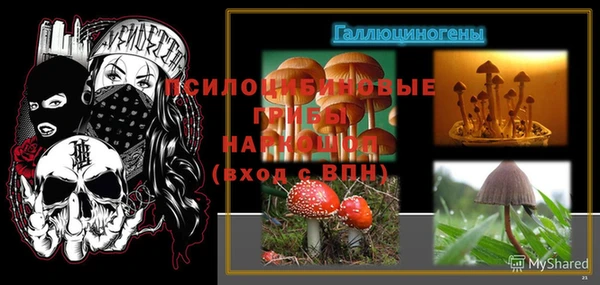 синтетический гашиш Каменка