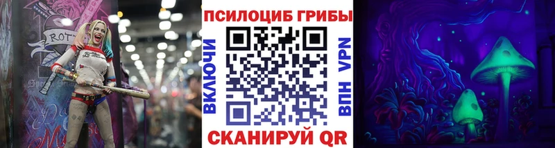 Псилоцибиновые грибы Psilocybe Николаевск